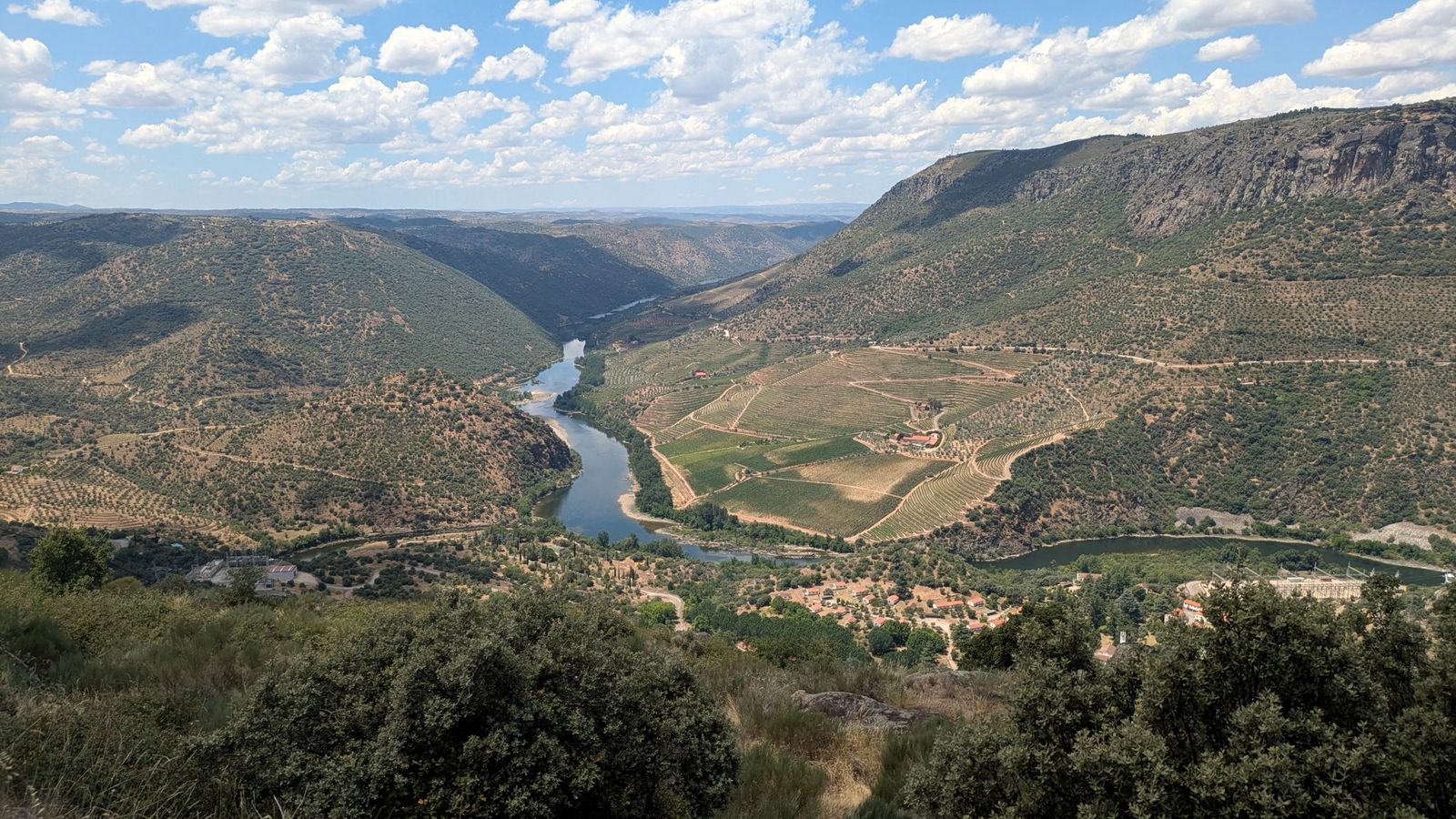 Meandro del Duero entre laderas de viñedos y olivos bajo un cielo con nubes