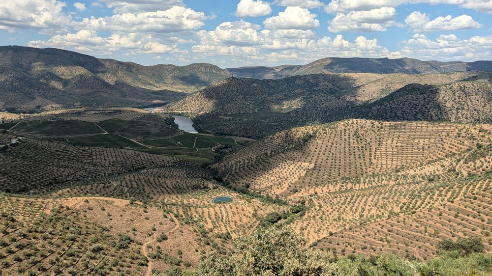 Laderas de olivos en bancales sobre el río